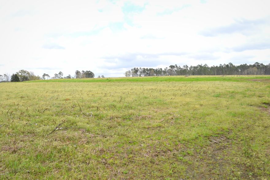 This stunning 38+/- acre tract previously row cropped offers many great home sites including one atop of the hill. Bordered on 2 sides with planted pines and more than 950 feet of paved road frontage the possibilities for this property are bountiful. Parcel is located off Bonnett Pond road close to interstate 10, Hwy 77 and Hwy 79.