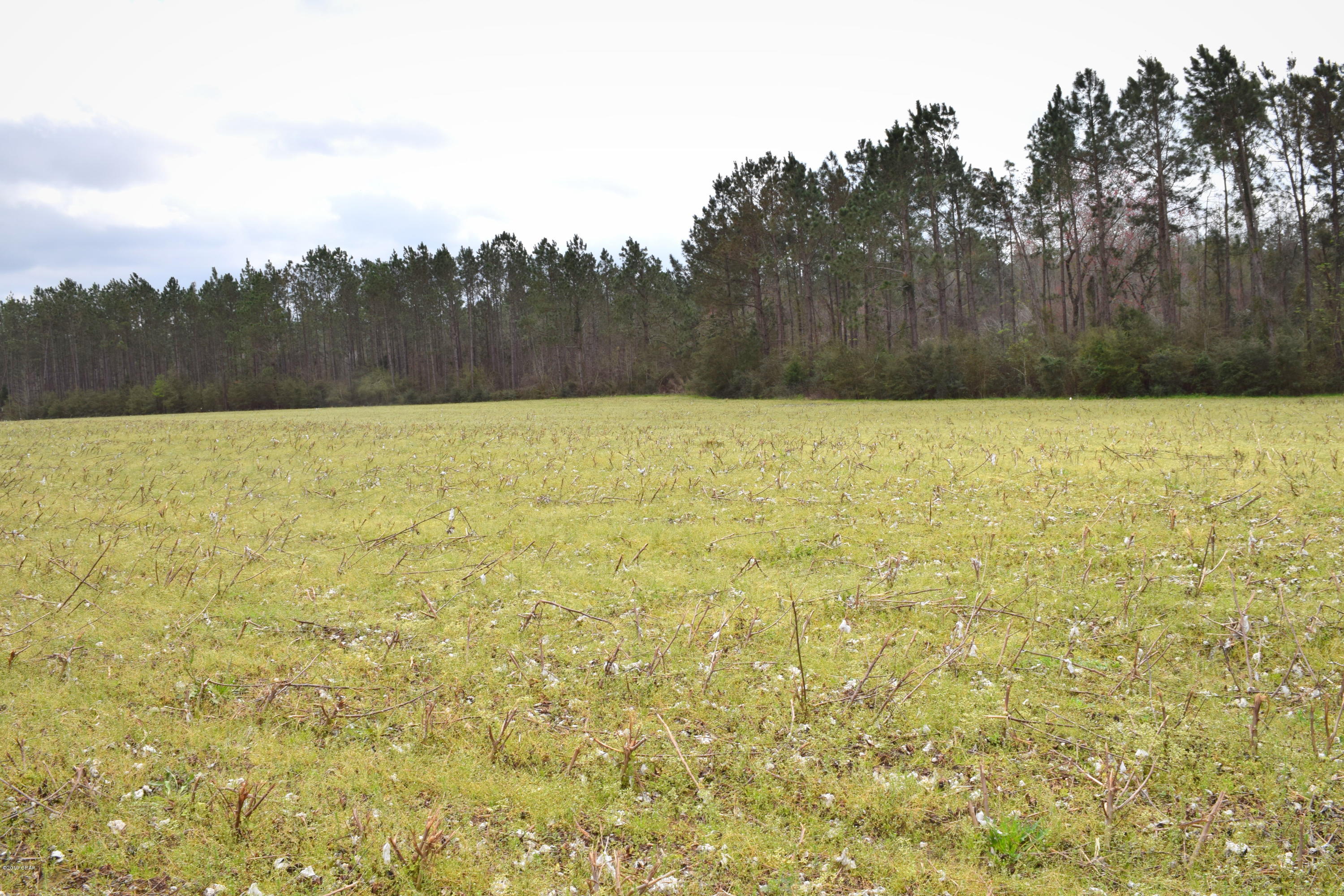 [No Recorded Subdiv] - Land