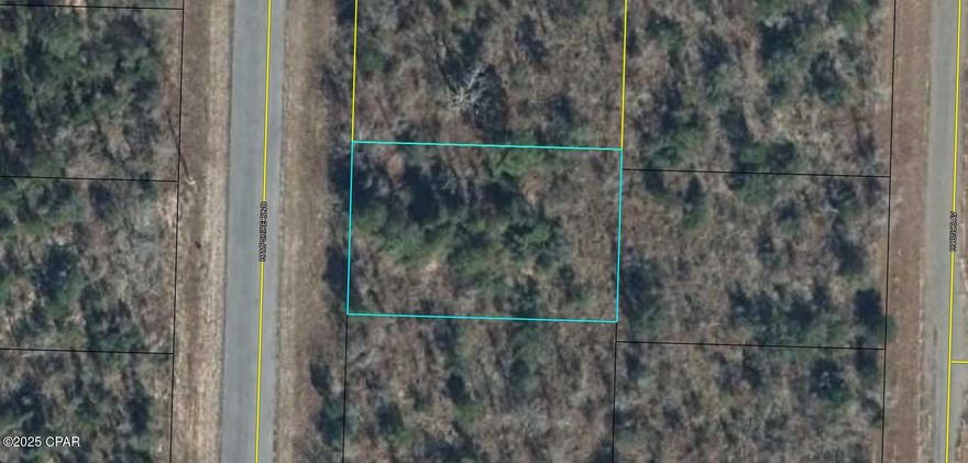 Looking for peace and quiet this is it. Located in a rural subdivision that offers a great golf course and several lakes for fishing and swimming. There are deed restrictions must build a site built home. Adjoining lot is also available.