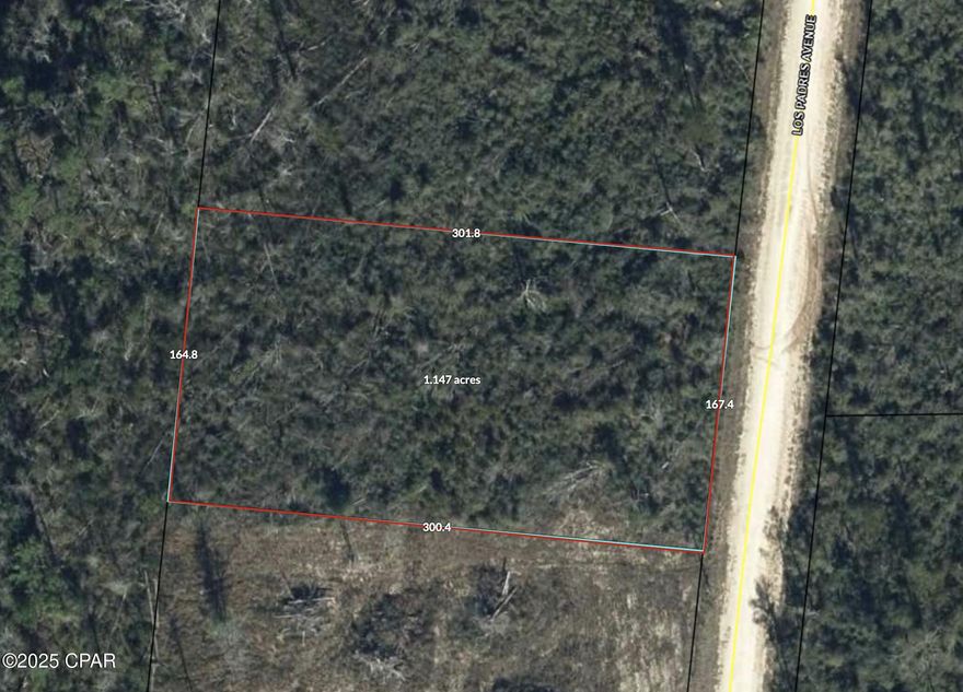 Nice and Quiet and wooded lot in CLH on a county road. Level looking lot.  Build your new home or place a mobile home.  Deed restrictions apply.  There is a Property Owners Association that can be joined for a small annual fee which will provide some nice benefits like Cabin rental discounts, use of the nice pool, boat ramp and more.  Put your contract on this available lot today.
