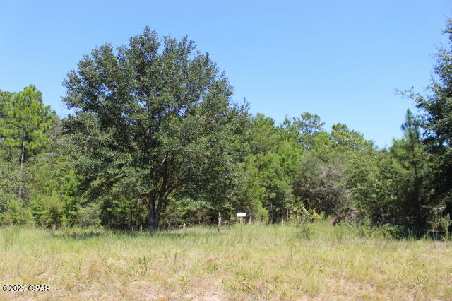 Compass Lake Hills Unit 2 - Land