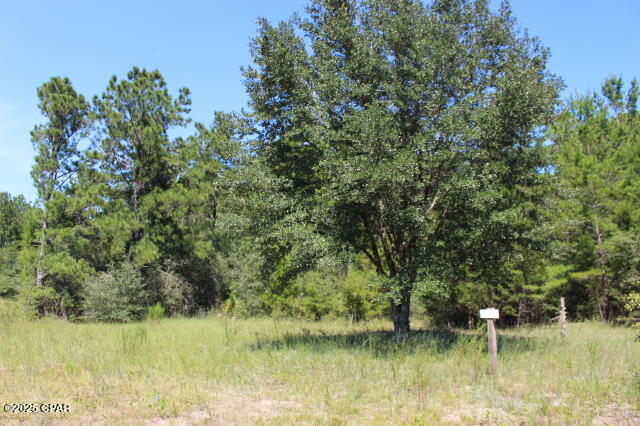 Compass Lake Hills Unit 2 - Land