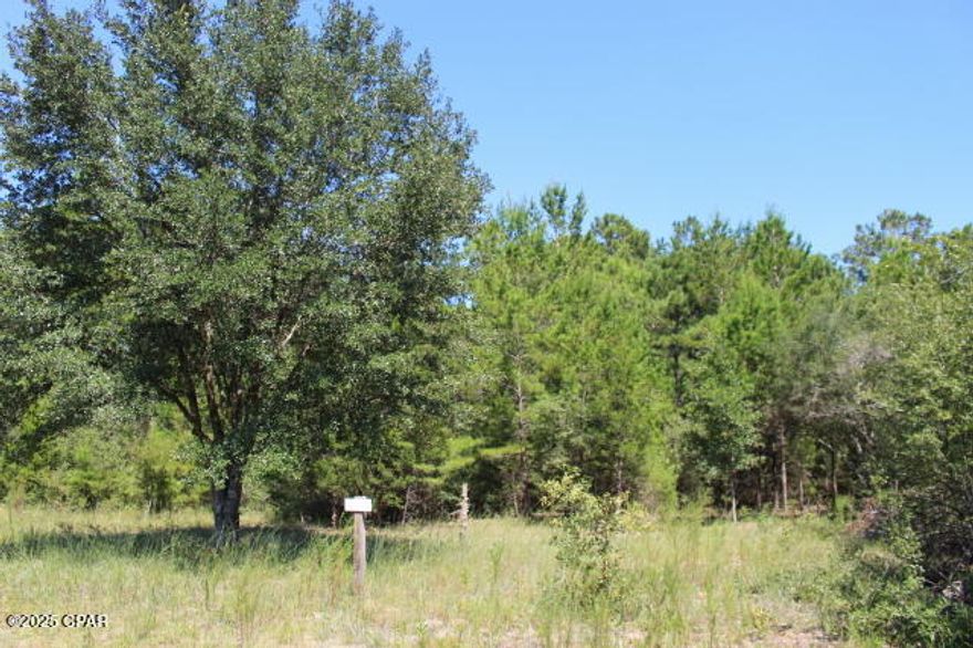 Wooded 1.1± Acre Homesite in Compass Lake in the Hills! Located just off a paved road, this buildable lot offers a peaceful, natural setting with the convenience of modern access. Ideal for a site-built home or new mobile home—both are now allowed in this area. The property has been partially cleared to showcase the high and dry buildable area, and electric lines are already at the road for easy connection. Conveniently located approximately 45 minutes from Panama City and the beautiful Gulf beaches, and halfway between I-10 and Dothan, AL. Nearby Marianna offers shopping at Lowe's, Walmart, restaurants, Chipola College, Jackson Hospital, and recreation at Chipola River and Merritt's Mill Pond. Just minutes from Compass Lake, you can easily enjoy boating, fishing, or sunset cruises. Join the CLH's non mandatory POA and have access to all the amenities including McCormick Lake which is for members only. A no gas engine lake for swimming & fishing. This lot would be a good future investment or Build your dream getaway and full-time home from the ground up and make it your own! Owner financing is available.