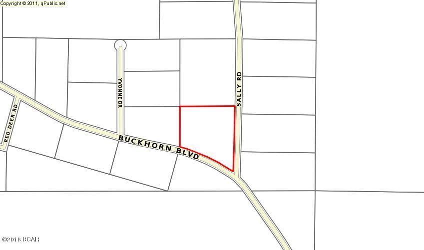 Buckhorn Creek - Land