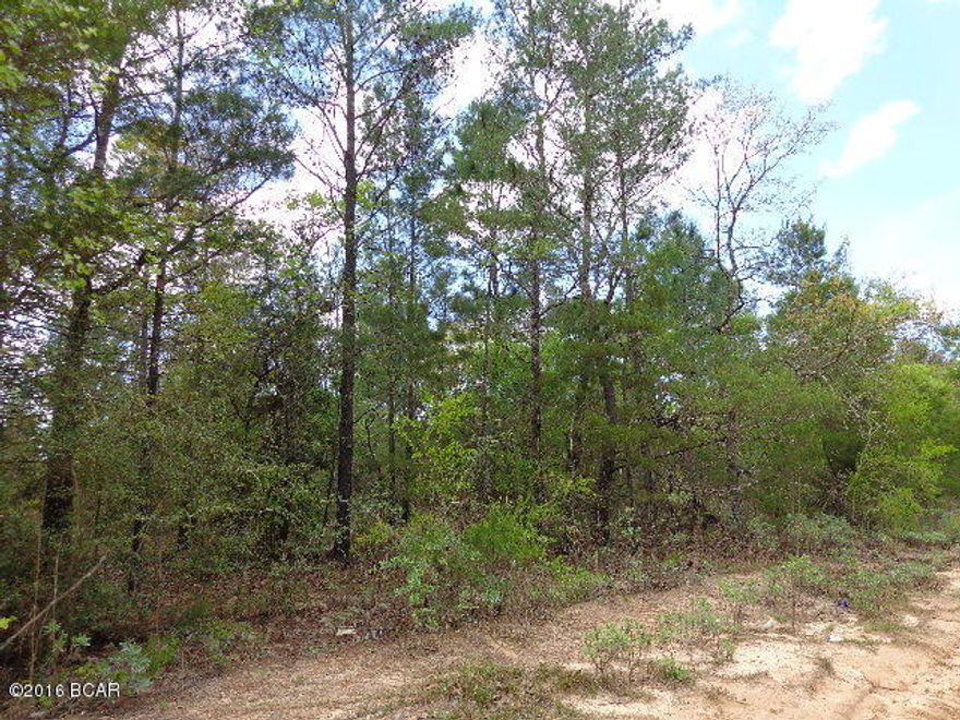 Wooded property that appears to be high and dry. 45 min drive mol to Panama City to Beaches. In two parcels. Would be a great property for multi- families to build two homes or place your mobile homes to be together. Corner location.
