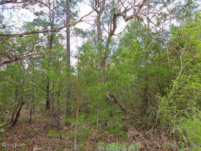 Buckhorn Creek - Land