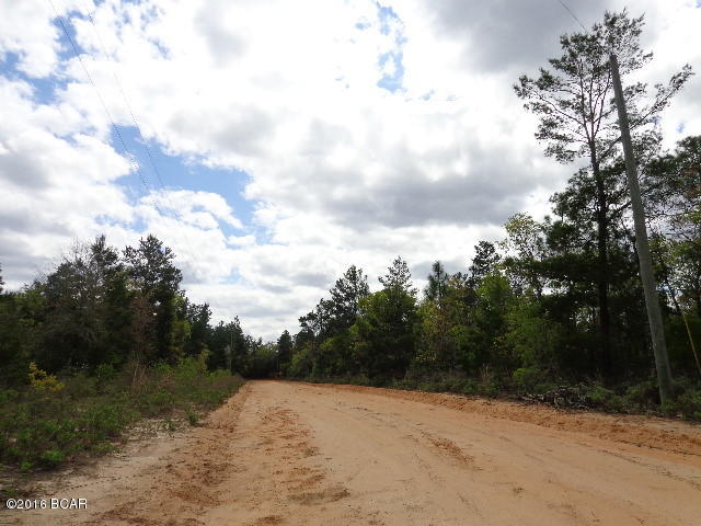 Buckhorn Creek - Land