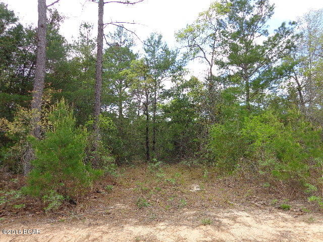 Buckhorn Creek - Land