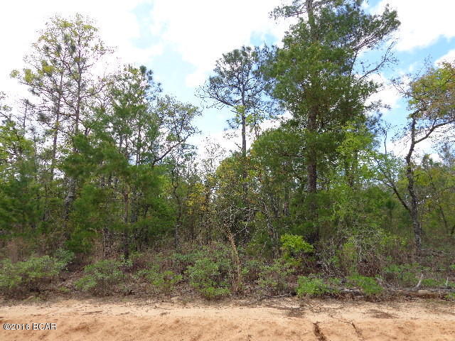 Buckhorn Creek - Land