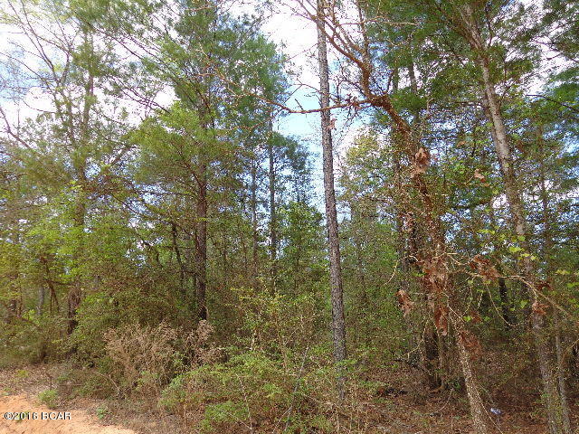 Buckhorn Creek - Land