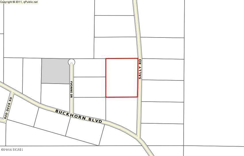 Buckhorn Creek - Land