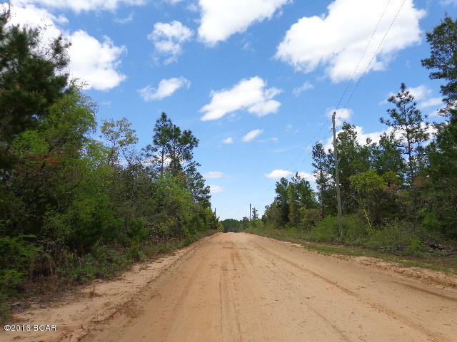 Buckhorn Creek - Land