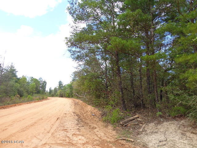 Buckhorn Creek - Land