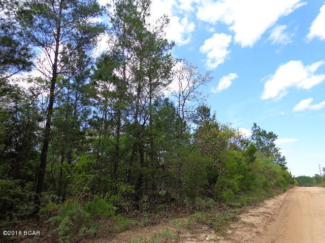 Buckhorn Creek - Land