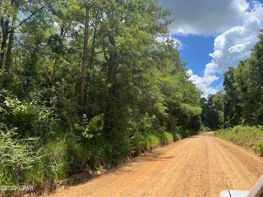 Three wooded acres in country setting ready for your dream home! Just a short drive to many gorgeous Florida treasures like Ponce de Leon springs, Morrison Springs, and Vortex Springs. About an hour drive south to the emerald coasts white sandy beaches. contact your favorite agent today to schedule your tour of this beautiful property!