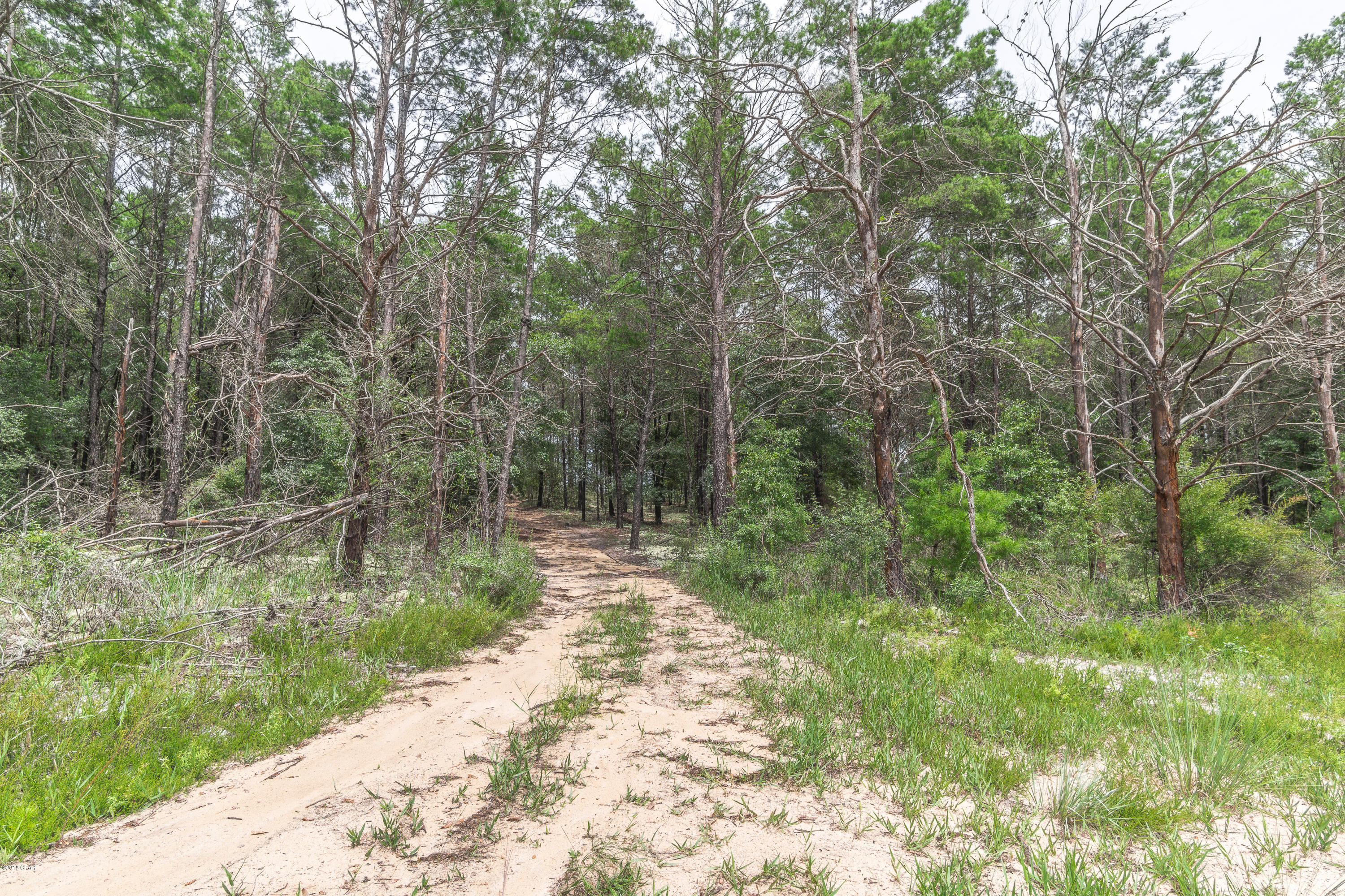 [No Recorded Subdiv] - Land