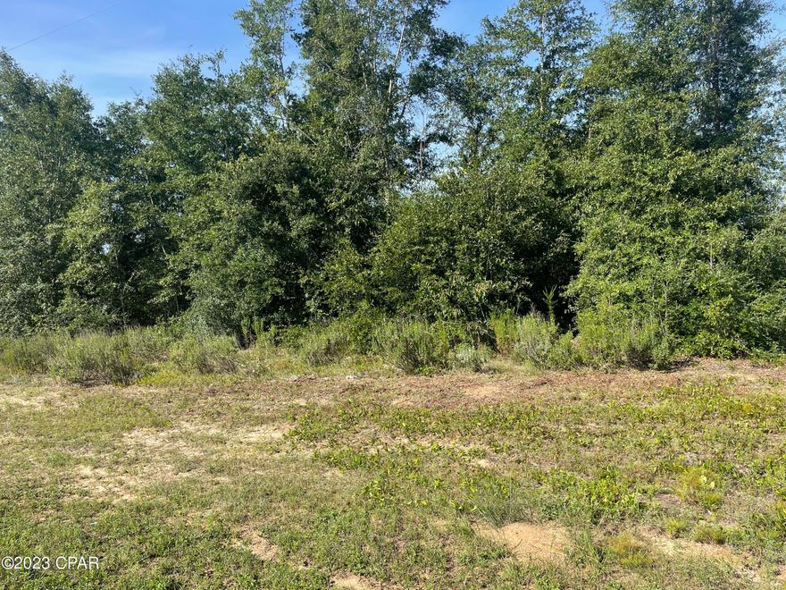 Desirable corner lot in Compass Lake in the Hills!  This lovely parcel fronts a paved road and would make a nice place for a home.  It is just minutes to Marianna and is just 45 minutes to Panama City.  If you decided to join the HOA with a minimal fee, you would have access to some great amenities  also!  Drive by today and see for yourself!