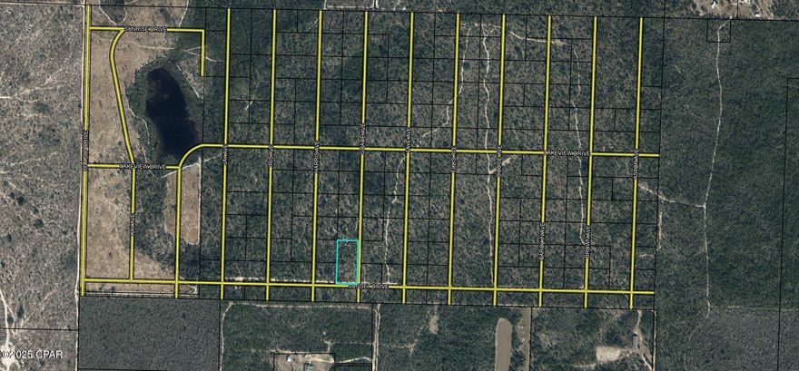 This vacant parcel is located within a platted subdivision; however, no improvements have been made and no roadways have been constructed to access the property. This is a land-only offering ideal for long-term investment, future development potential, or those looking to secure affordable acreage in a quiet, rural setting.

Buyer to verify access options, utility availability, and any development requirements with the county, as the property currently has no physical access.