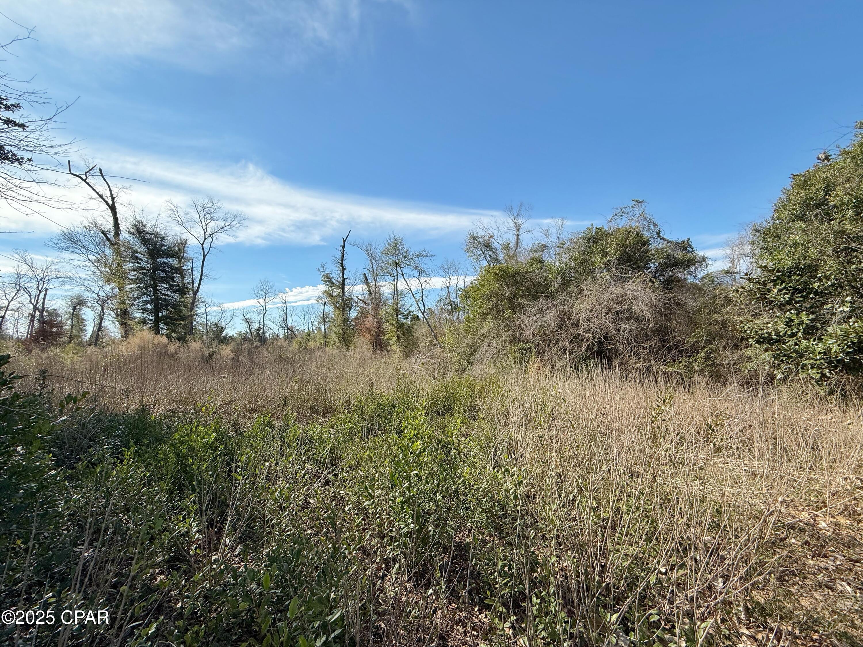 Indian Springs Golf Course - Land