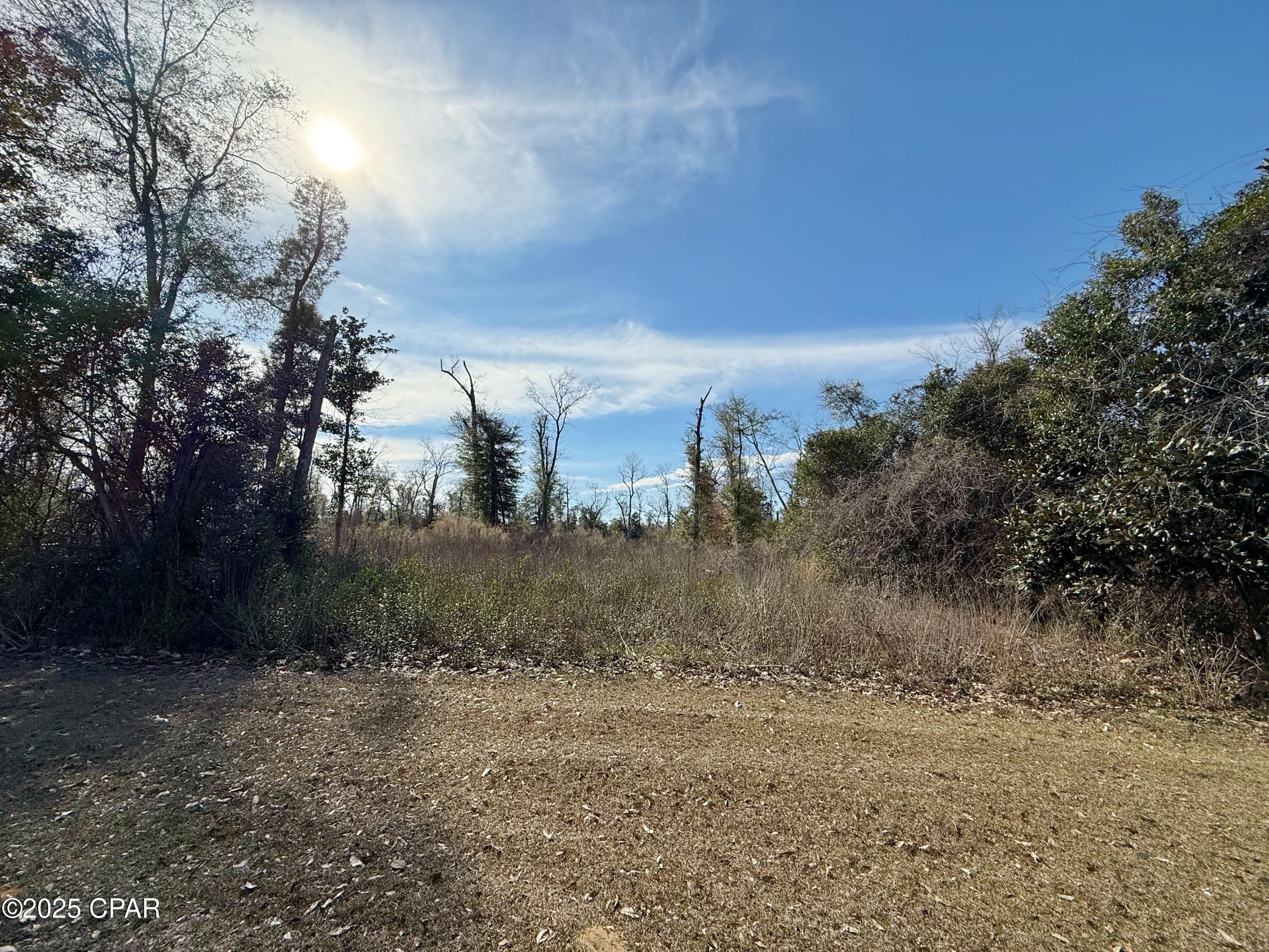 Indian Springs Golf Course - Land