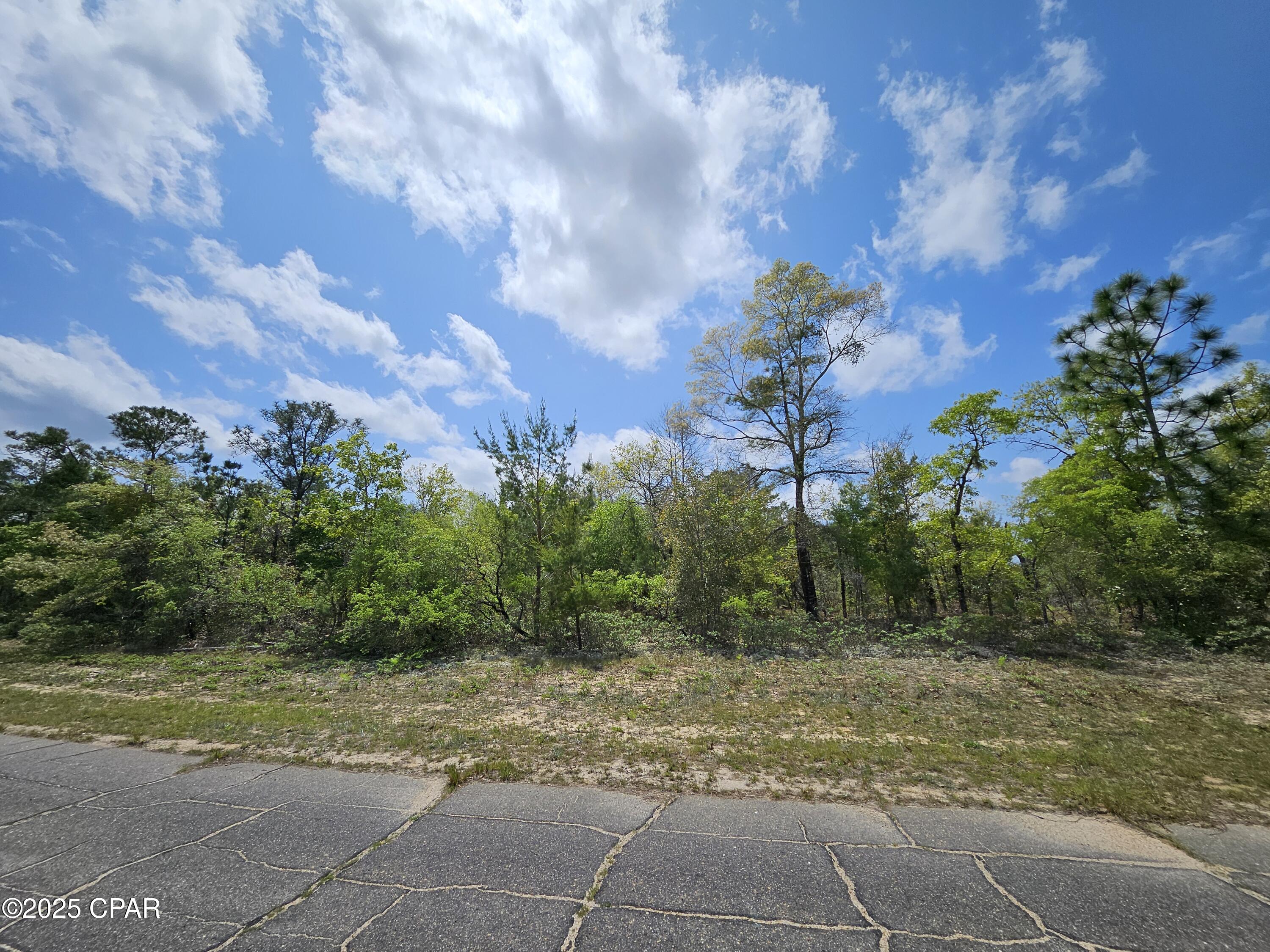 Sunny Hills Unit 9 - Land