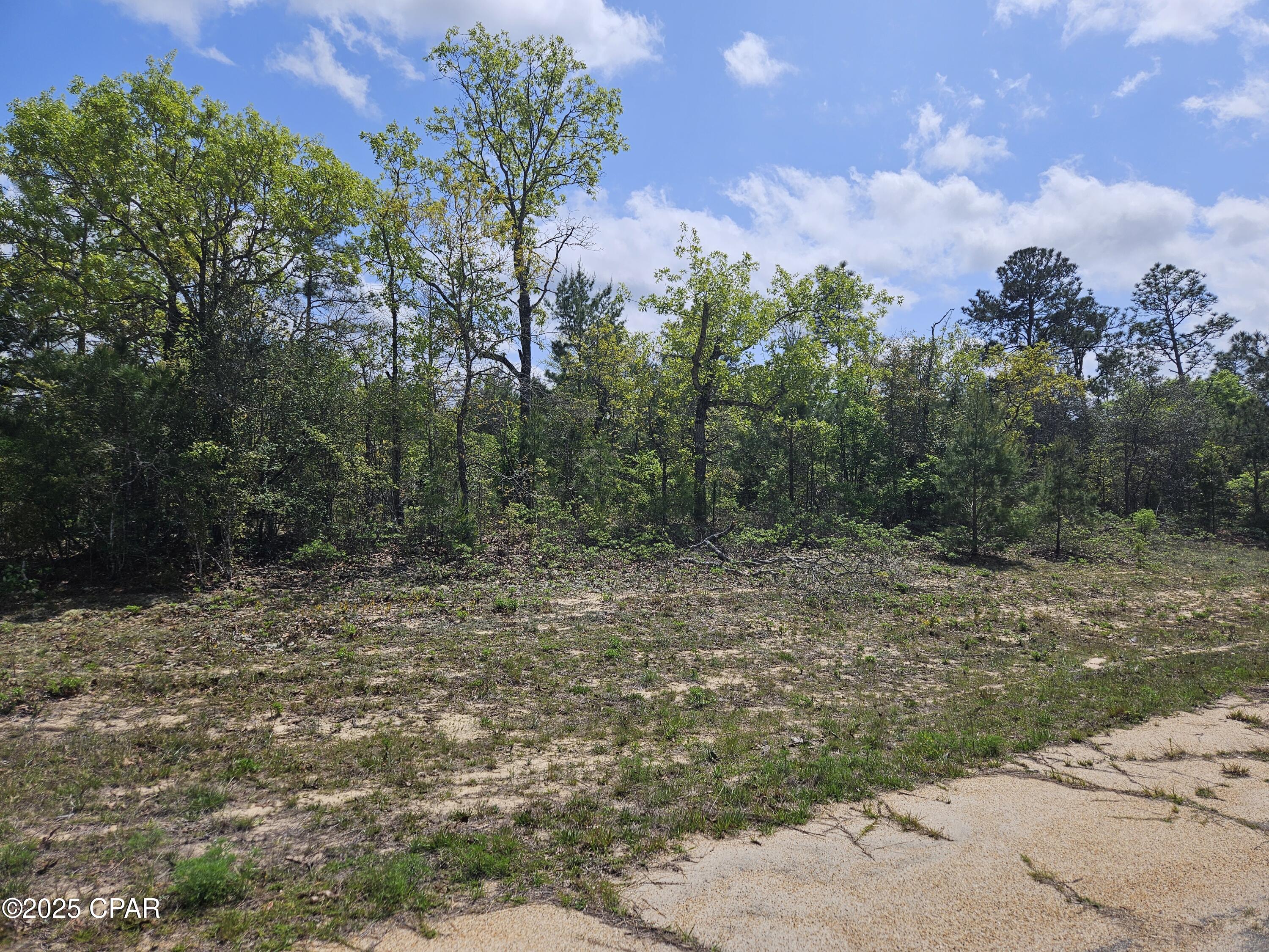 Sunny Hills Unit 9 - Land