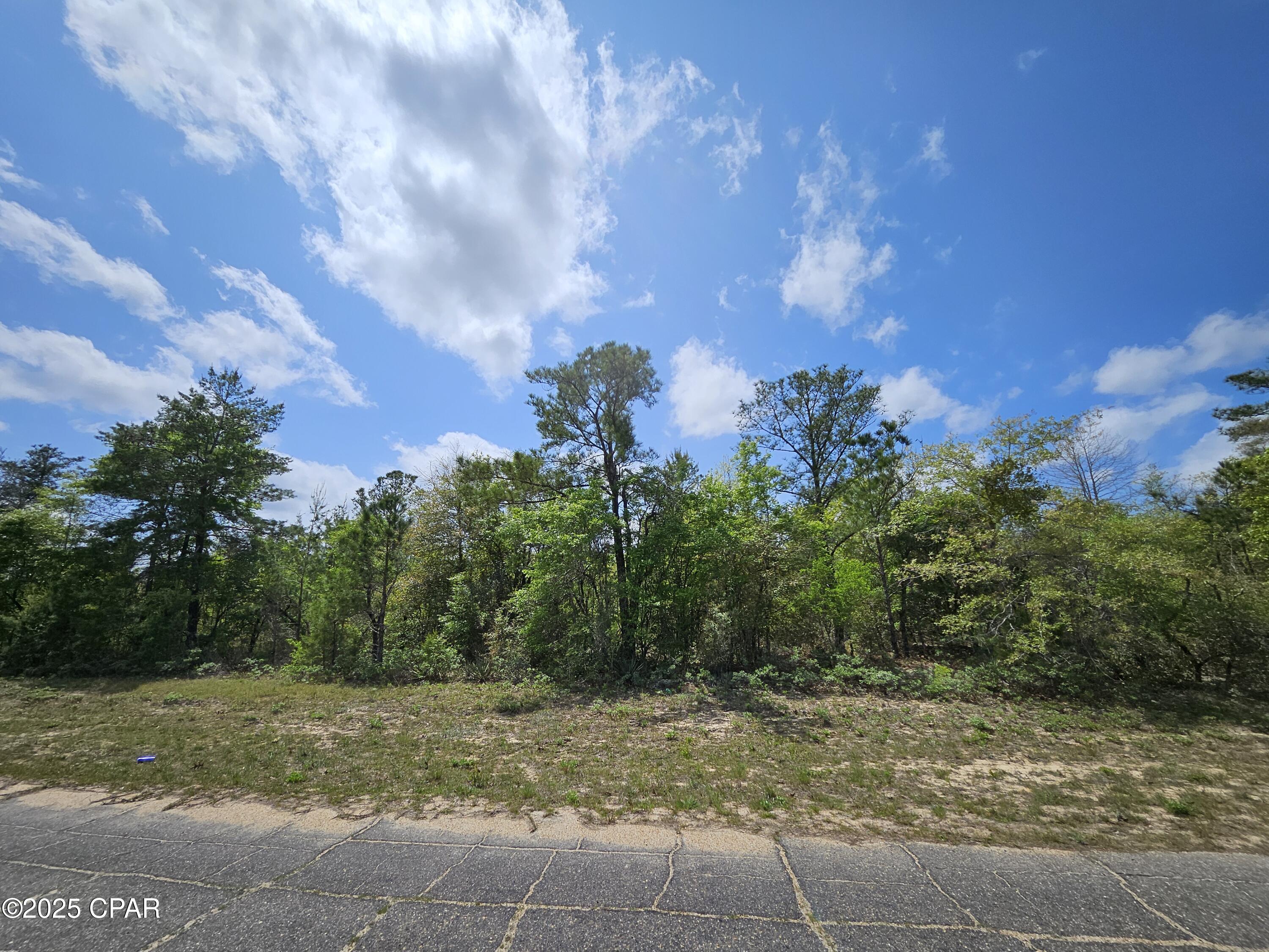 Sunny Hills Unit 9 - Land