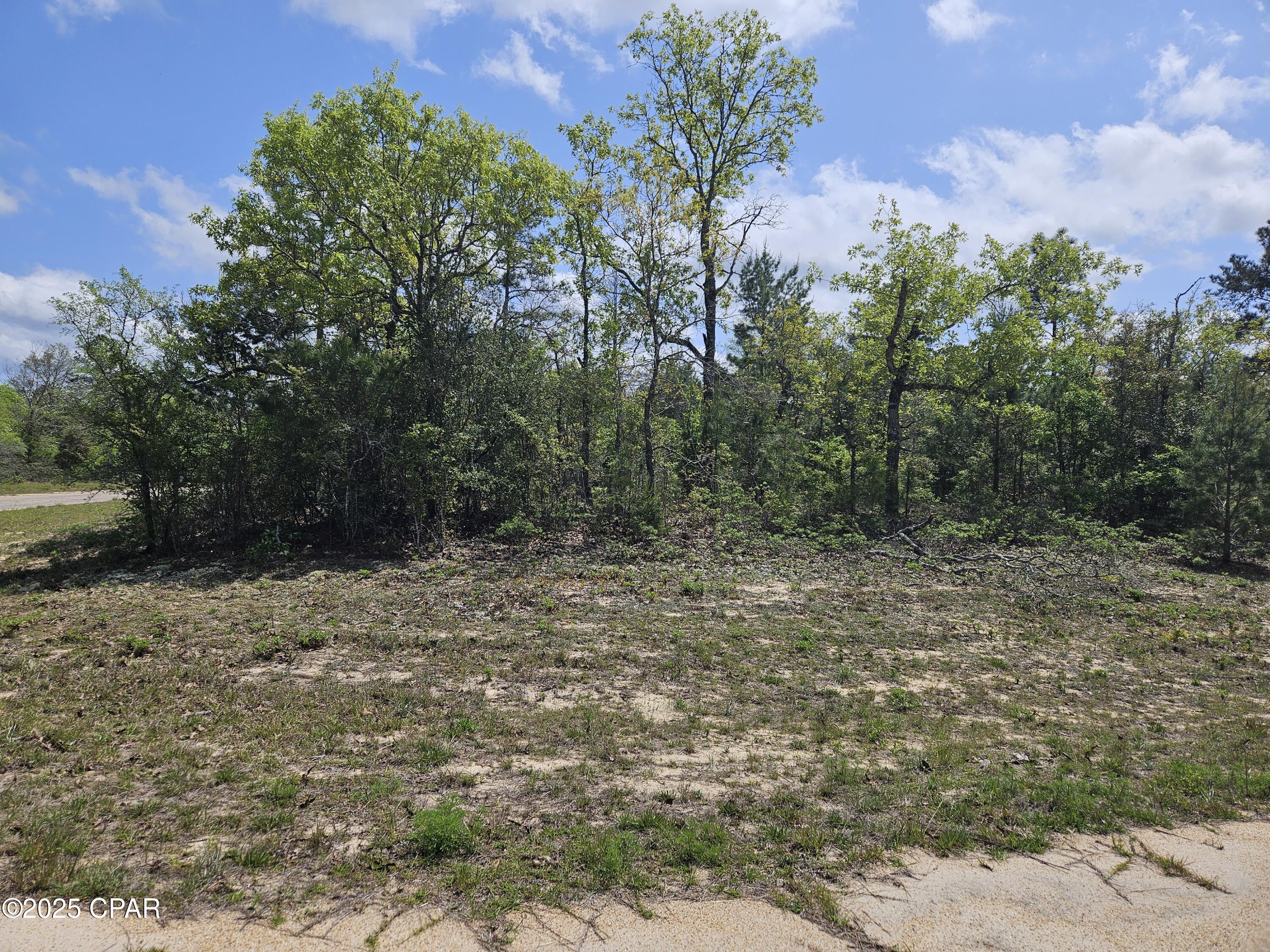 Sunny Hills Unit 9 - Land