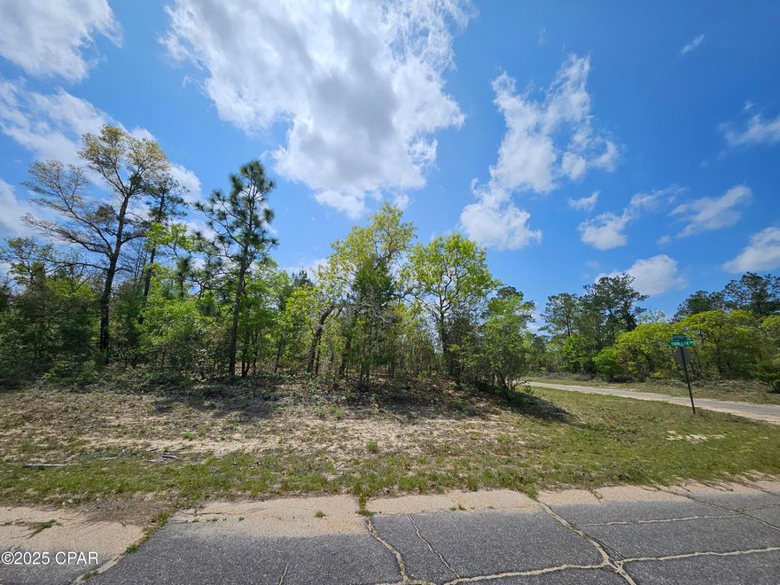 Looking for an investment or that special parcel to build your forever home? With roughly 3/4 of an Acre of land for you to realize those dreams, this Sunny Hills lot is ready for you! Just a couple of miles down the road you can take advantage of the Sunny Hills Golf Course, the Dollar General Market, & even Boat Lake where you can spend the afternoon at the 'beach'. A short drive & you can be in Chipley & Interstate 10, or head the other direction to reach the area's international Airport ECP & the World's Most Beautiful Beaches! Looking for more? Listing is for both 00000000-09-0544-0028 Canterbury Drive & 00000000-09-0544-0027 Twin Oak Circle