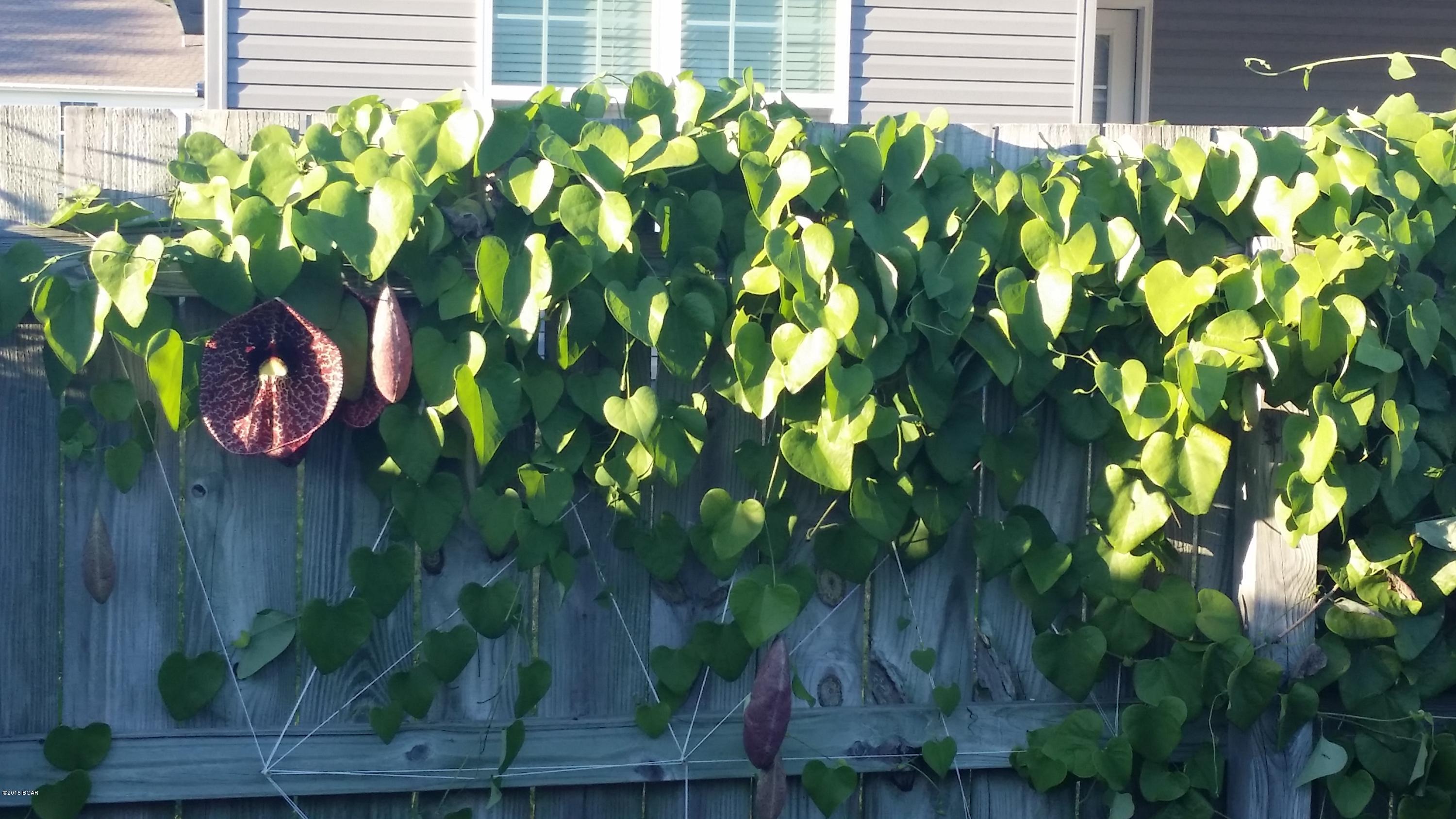 Cedars Crossing - Residential