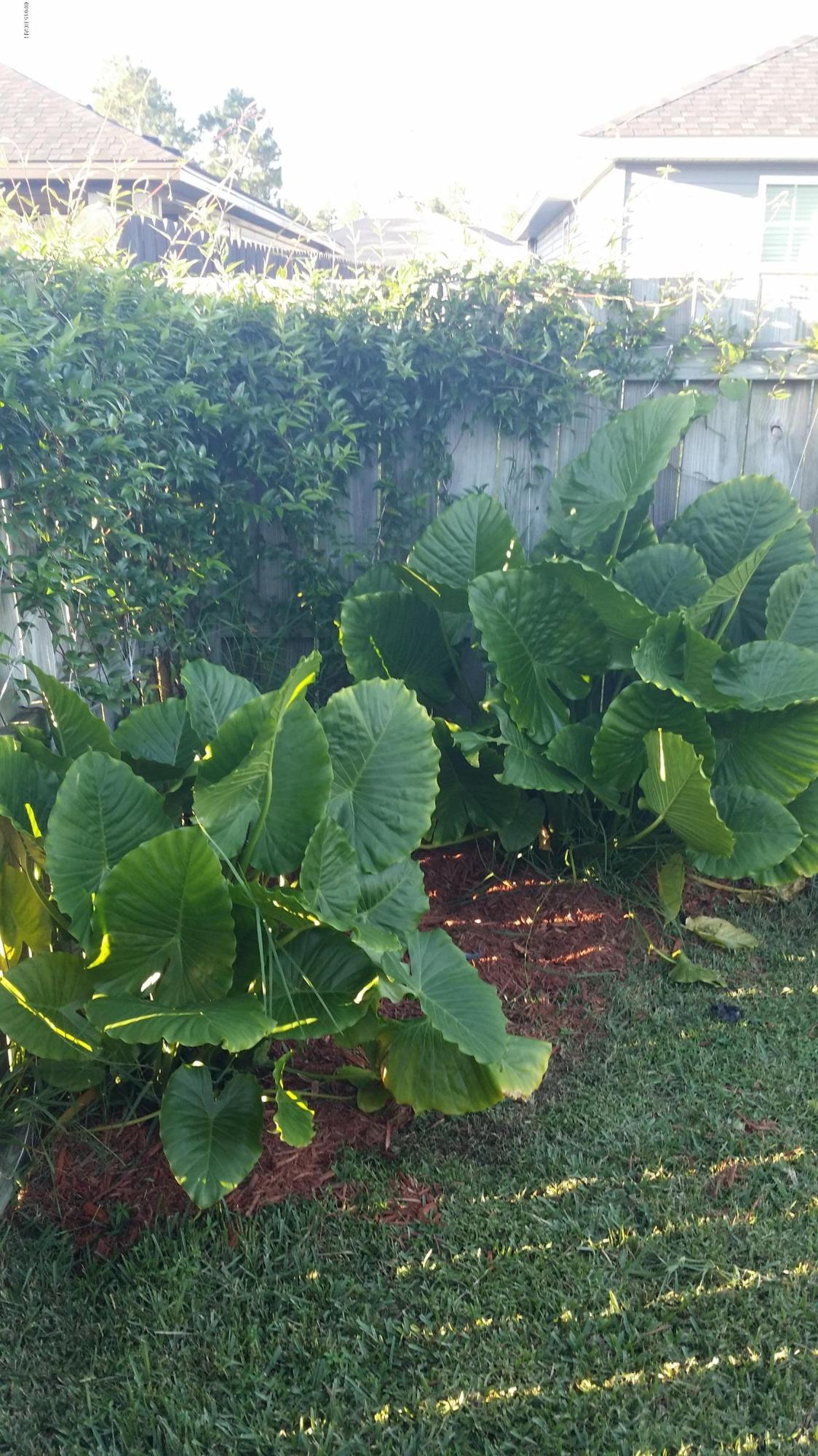 Cedars Crossing - Residential