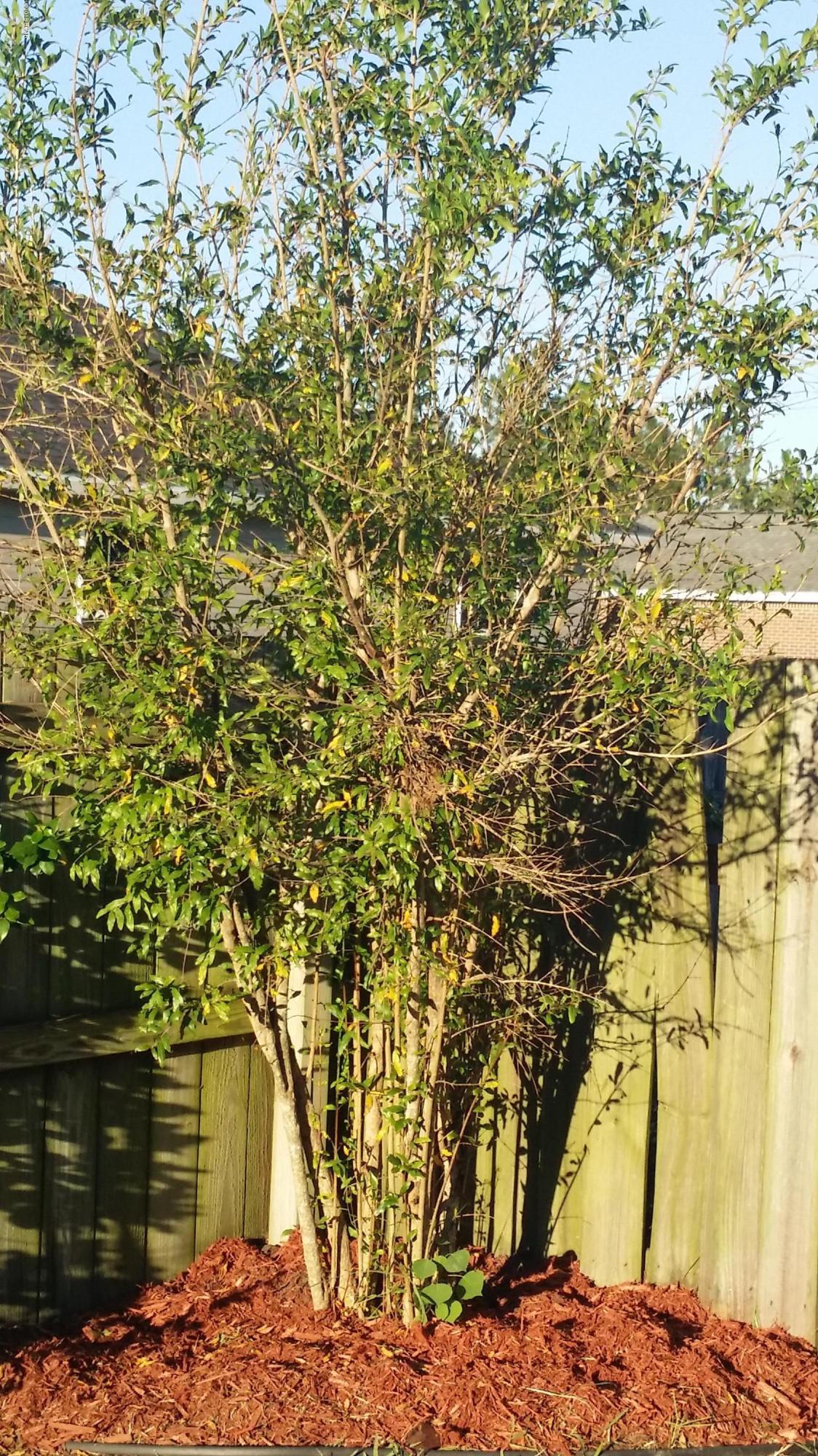 Cedars Crossing - Residential