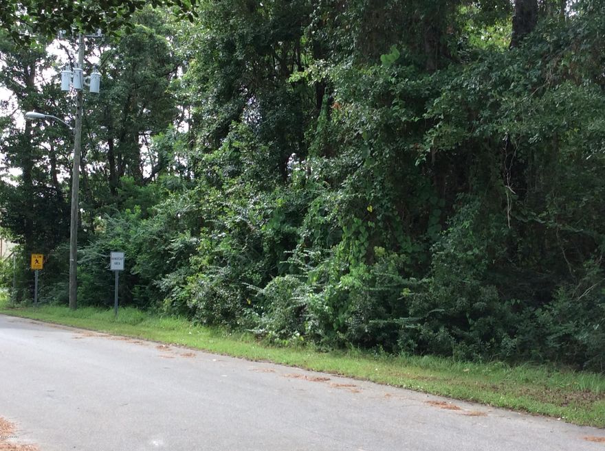 0.06 acre of vacant residential land in well established area in Callaway,close to shopping, schools and Tyndall AFB.

The Buyer will verify current zoning&land use.