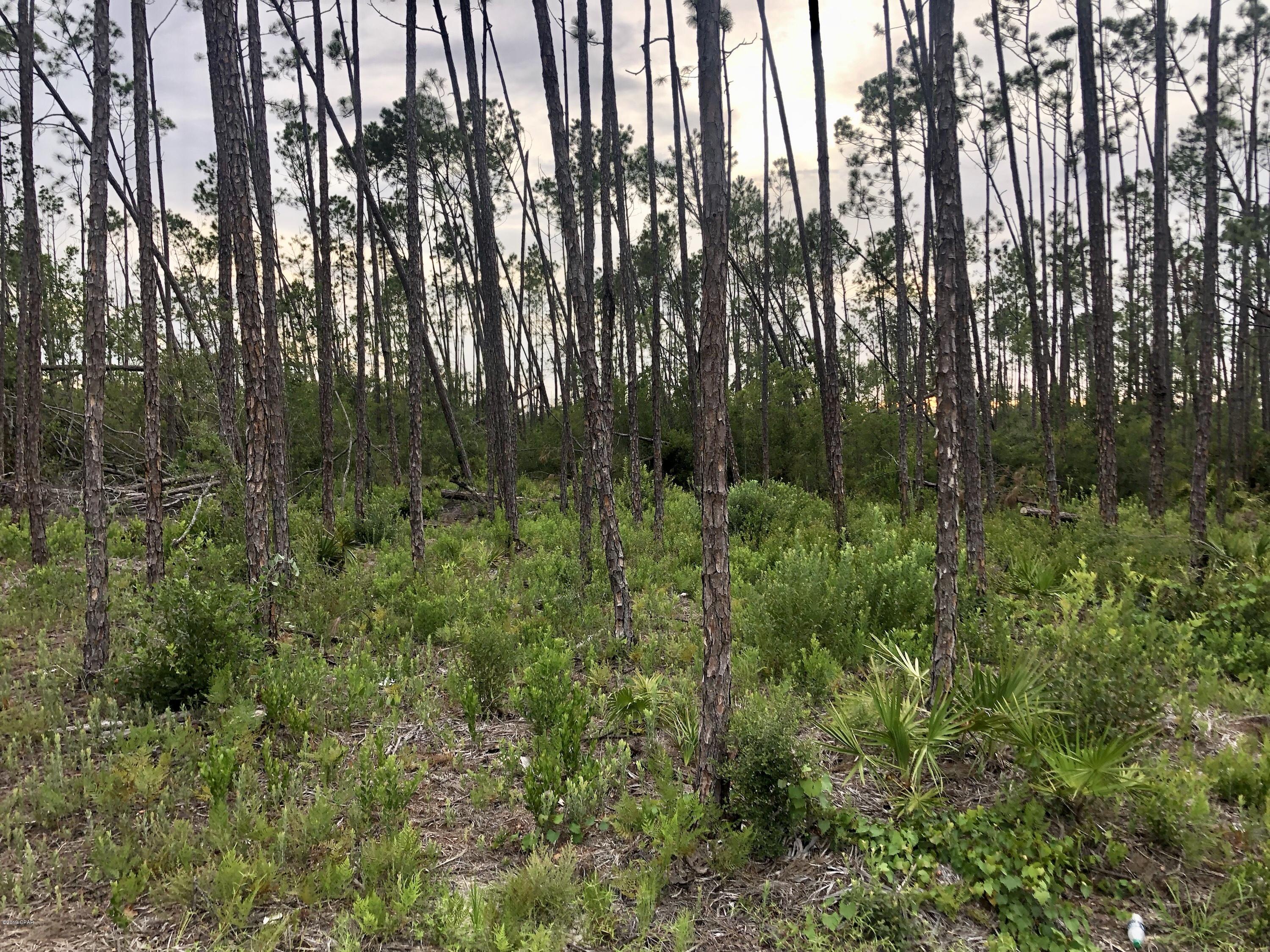 Cedar Creek Chase Ph 1 - Residential