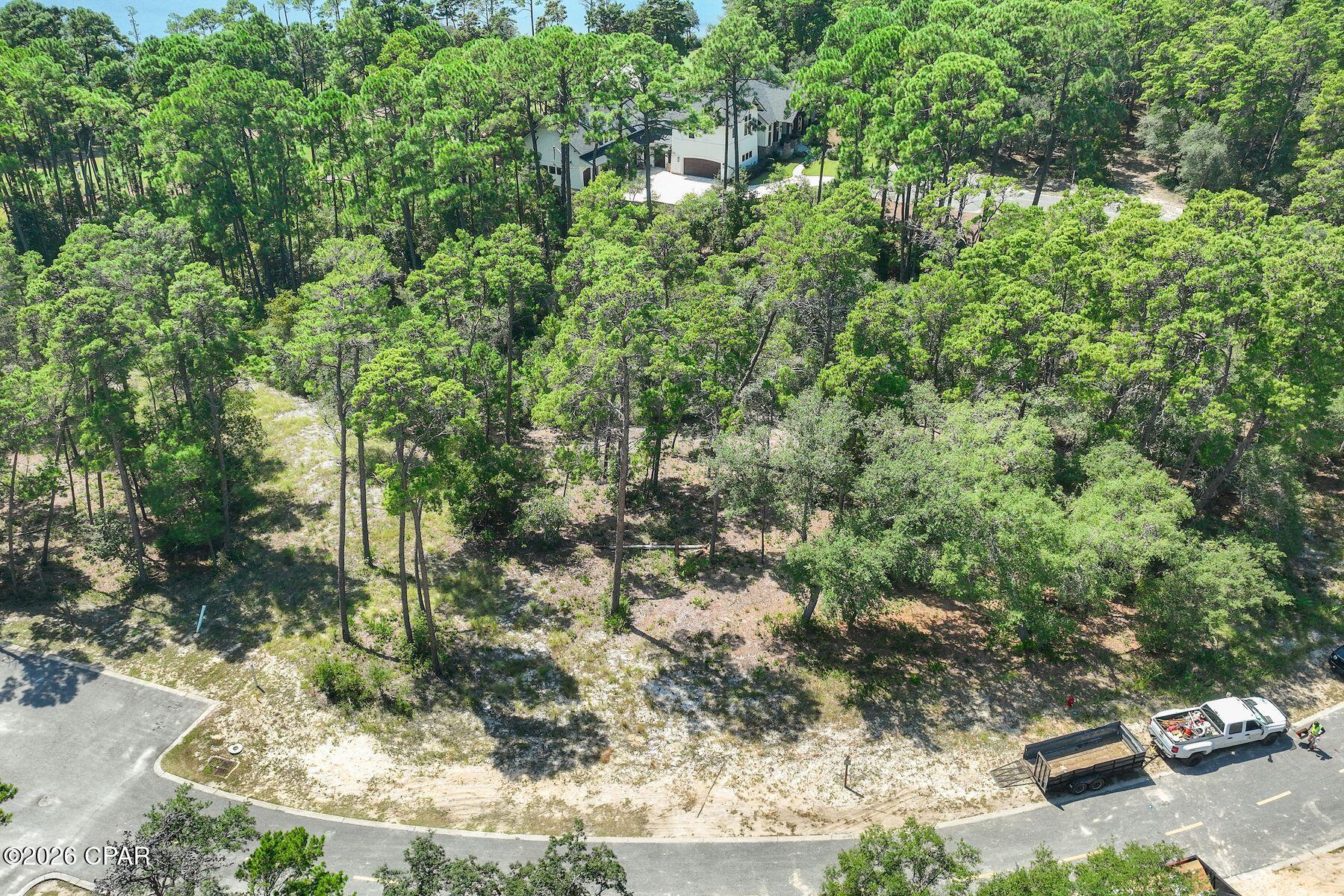 Wild Heron Phase XI - Land