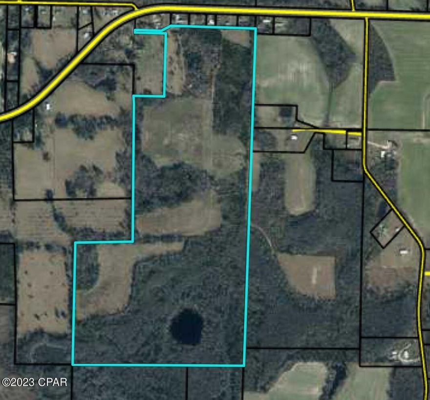 Private country setting with this 128.31 acre +/- parcel.  Not far from town or Hwy 231 for access to Panama City or Dothan, AL. Pick your home site. There is an existing well, septic, and power pole. Property is a mix of pasture and wooded areas. The pond in the back of the property has fish. Property needs some clean up as there are trees down from a storm. Tiny home does not convey. The new owner has to allow the current farmer to finish his crops.