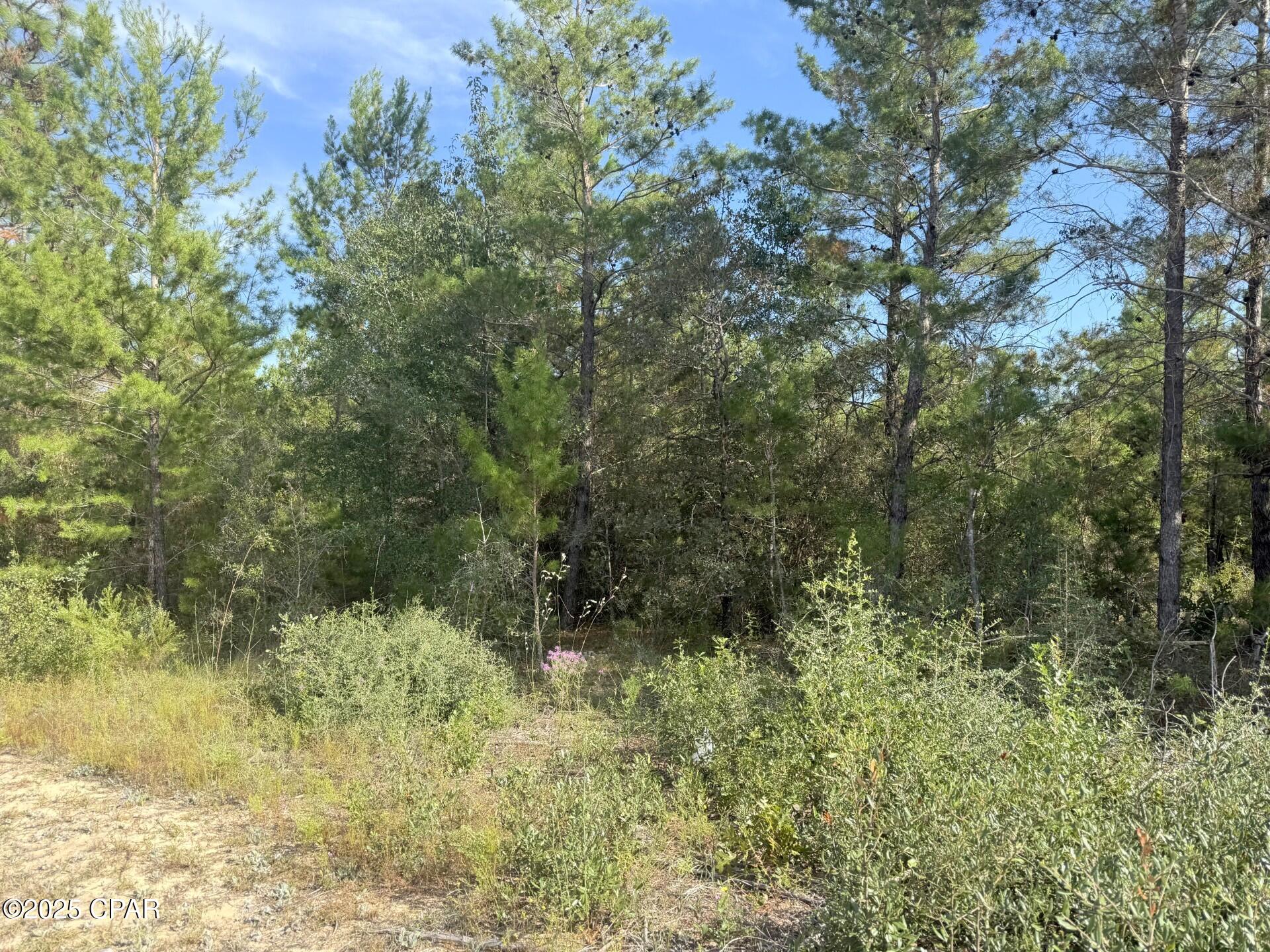 Sunny Hills Unit 1 - Land