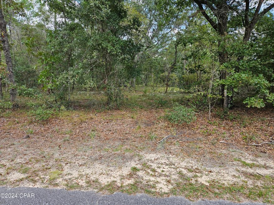 CURRENTLY UNDER CONTRACT, SELLER WILL CONSIDER BACKUP OFFERS This 1.7 acre lot is relatively flat, on a corner about one mile from the recreation area, and would make a good place for your new home. This is probably the best deal in the subdivision. The corner lot has various trees on it and would be convenient if it had a circle drive entrance/exit on both streets. The amenities offered include security guards on duty weekdays, basketball court, swimming pool, tennis court, covered pavilion, rental kitchen, men's and women's bathrooms, exercise room, boat launch, toddler playground and more.