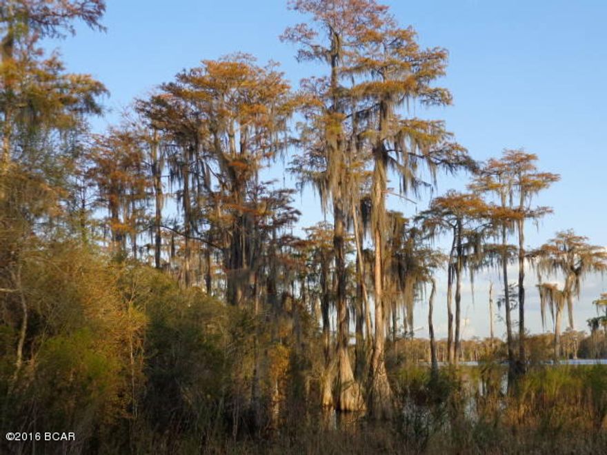 Waterfront lot on Lake McKenzie. Located across street from Park. Close to boat ramp & public library.