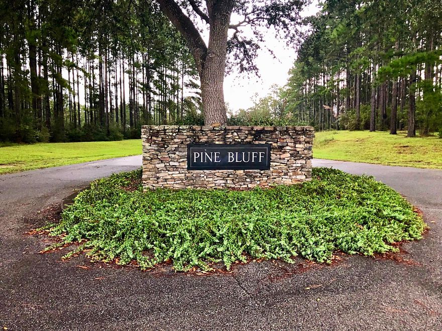 Over one acre buildable lot with paved road frontage on both sides in the desirable Pine Bluff subdivision. This parcel is located on a cul-de-sac among many pristine, manicured homes. Just a few minutes outside of Chipley and less than a mile from the State Park, this quiet neighborhood is the perfect place if you're looking for peace and convenience. What makes this property unique is the fact that it has paved frontage on the front of the property as well as the back, and the layout provides endless opportunities for an amazing back yard. The only thing this property needs is to be cleared. Being the most inexpensive lot in the neighborhood right now it is a great option. Make your offer today!