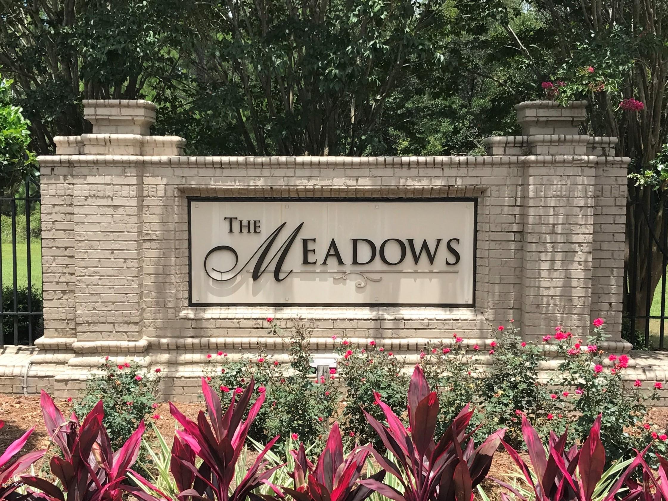 The Meadows & The Pointe - Residential