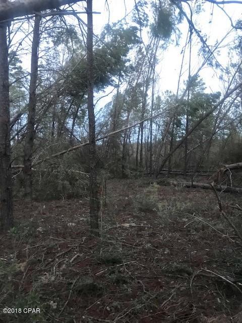 Long Lake Estates - Land