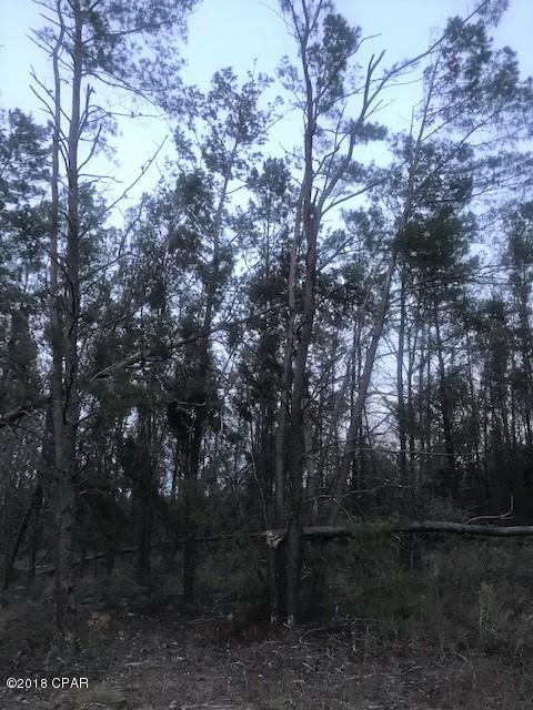 Long Lake Estates - Land