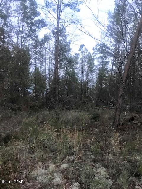 Long Lake Estates - Land