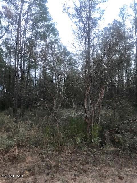 Long Lake Estates - Land