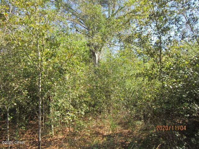 Pine Tree Place Unit 1 - Land