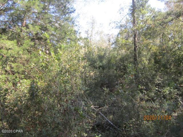 Pine Tree Place Unit 1 - Land