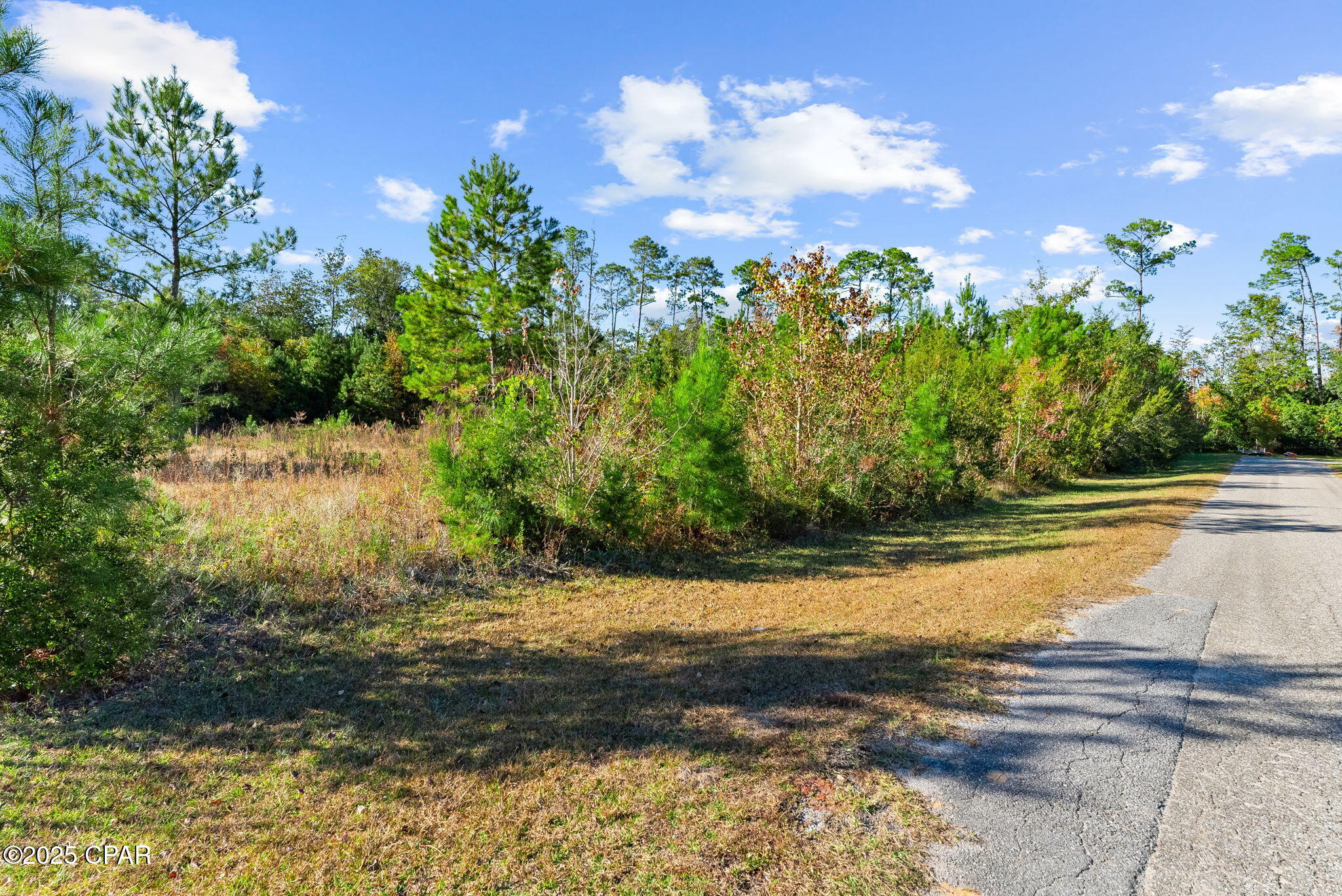 Red Bull Island - Land