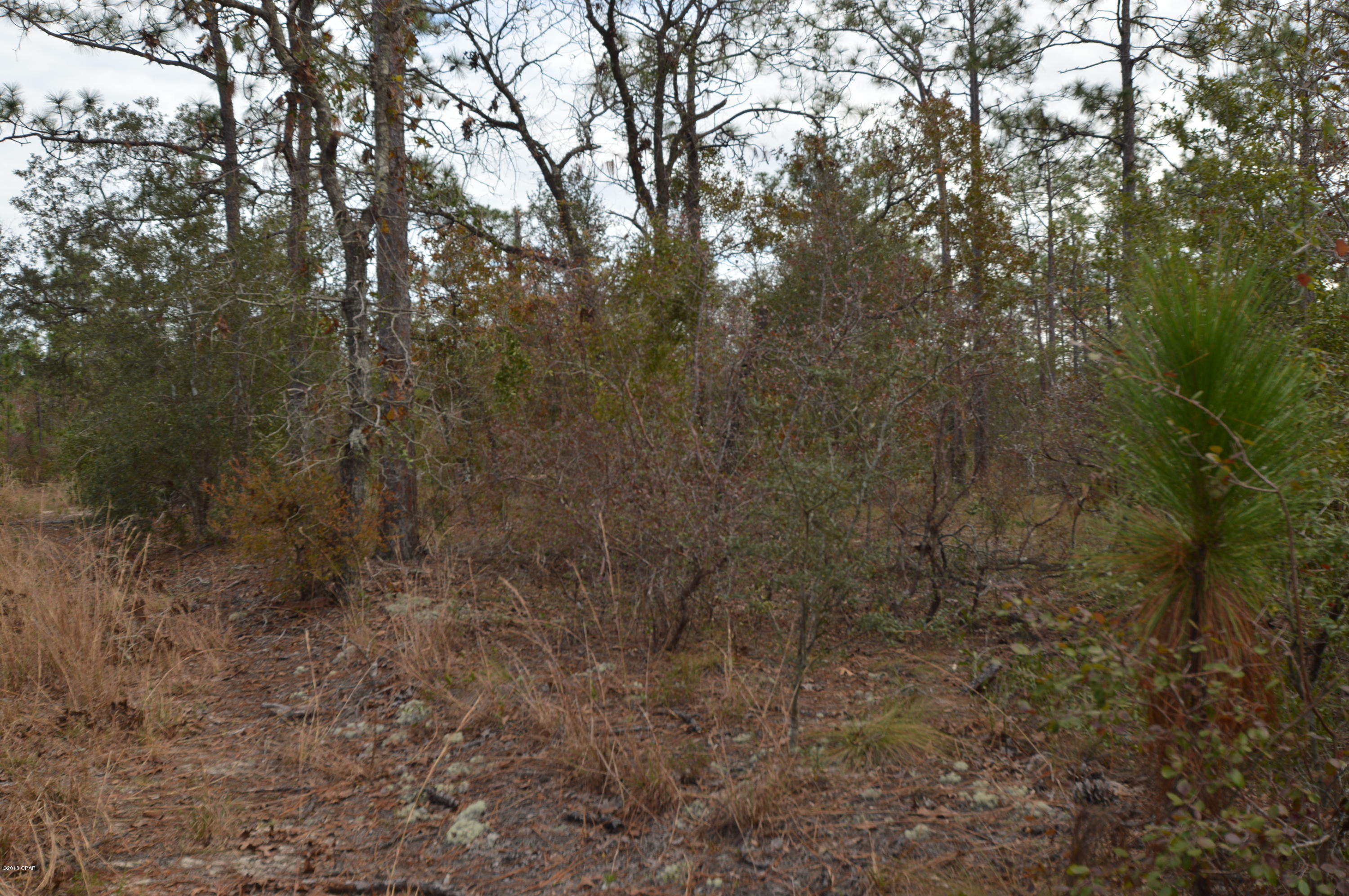 Leisure Lakes - Land