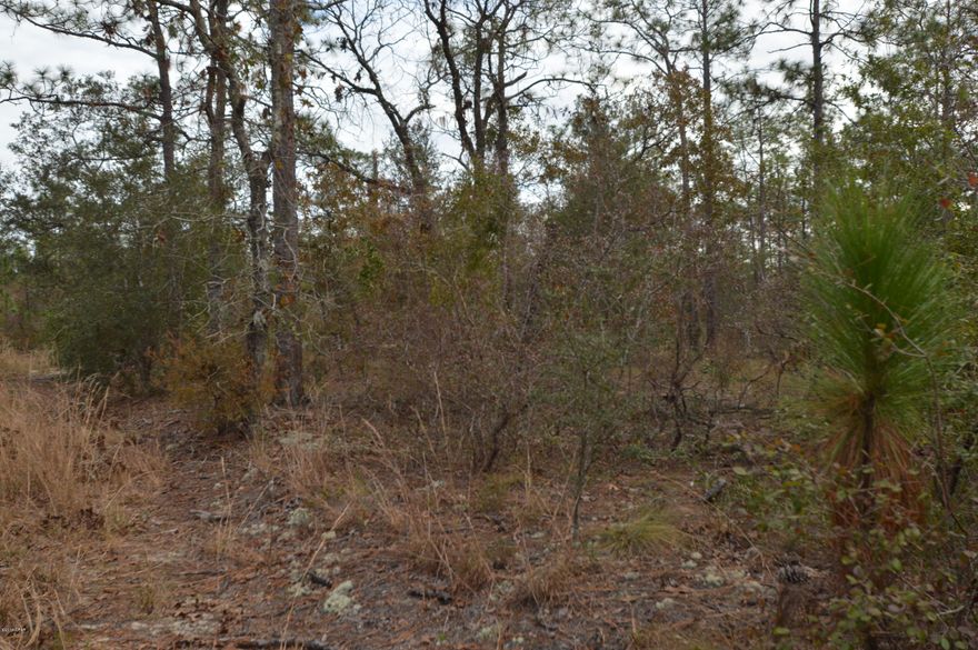 ''CURRENTLY UNDER CONTRACT, SELLER ACCEPTING BACKUP OFFERS'' Build your dream home or put a mobile home....Nice lot in Leisure Lakes, access to both Lake Denise and  Lake Susanne.

community pool and beach area. All this in Gated Community.